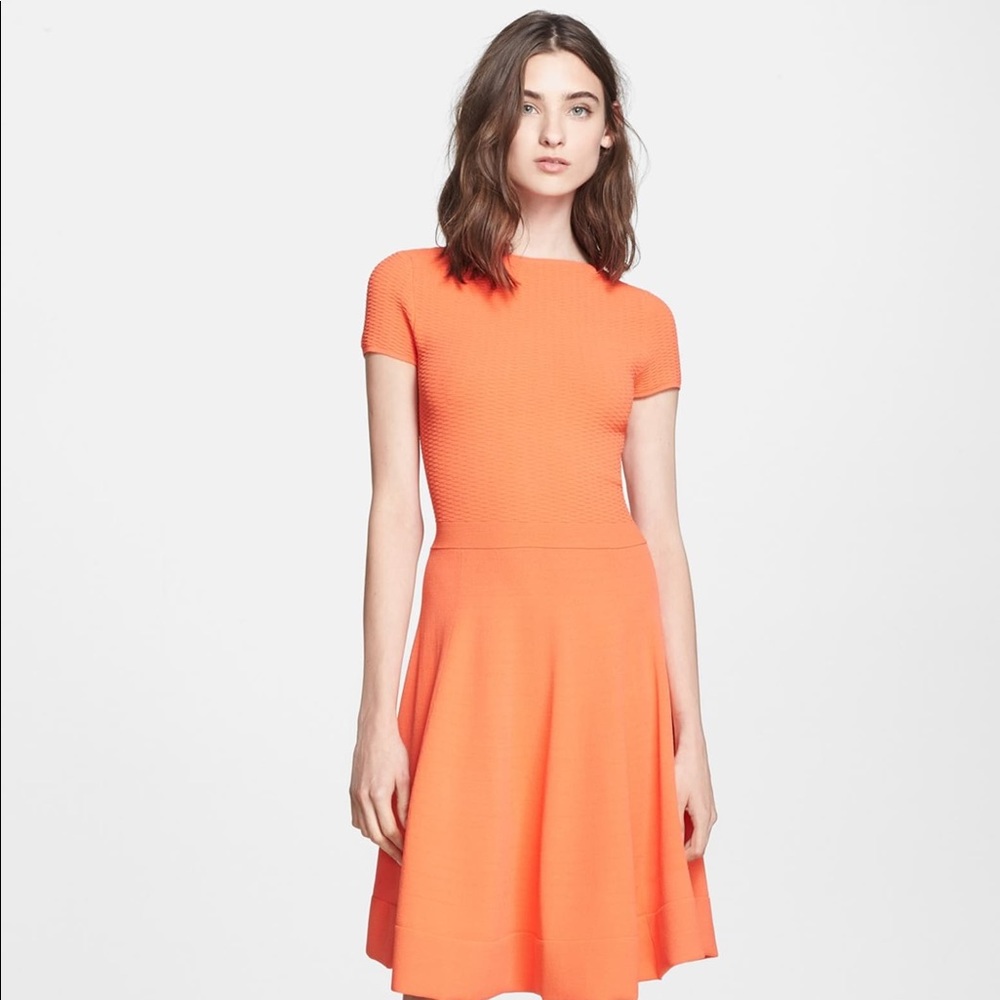 Autumn Cashmere tangerine fit and flare dress